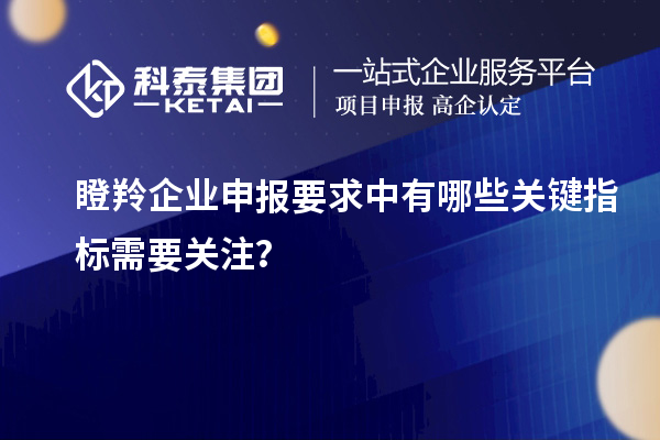 瞪羚企業(yè)申報(bào)要求中有哪些關(guān)鍵指標(biāo)需要關(guān)注？