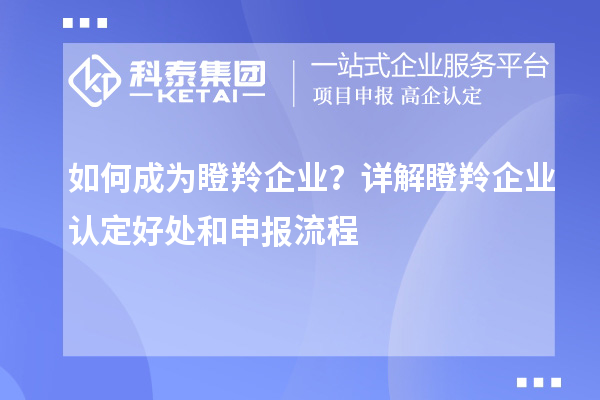 如何成為瞪羚企業(yè)？詳解<a href=http://www.xinshancheng.cn/fuwu/dengling.html target=_blank class=infotextkey>瞪羚企業(yè)認定</a>好處和申報流程