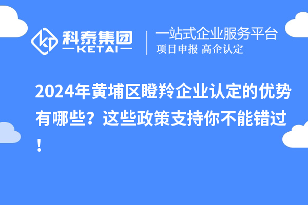 2024年黃埔區(qū)瞪羚企業(yè)認(rèn)定的優(yōu)勢有哪些？這些政策支持你不能錯(cuò)過！