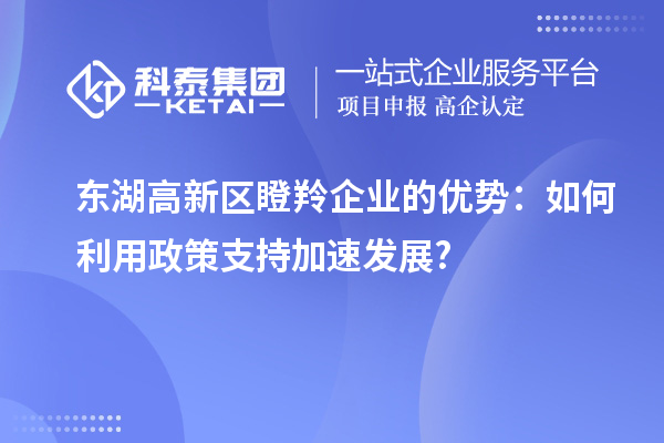 東湖高新區(qū)瞪羚企業(yè)的優(yōu)勢(shì)：如何利用政策支持加速發(fā)展?