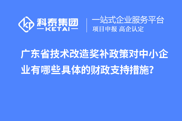 廣東省技術(shù)改造獎(jiǎng)補(bǔ)政策對(duì)中小企業(yè)有哪些具體的財(cái)政支持措施？