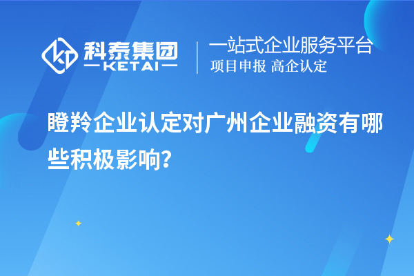 <a href=http://www.xinshancheng.cn/fuwu/dengling.html target=_blank class=infotextkey>瞪羚企業(yè)認(rèn)定</a>對廣州企業(yè)融資有哪些積極影響？