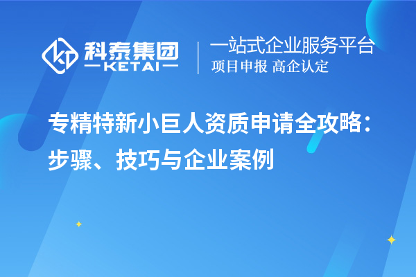 專精特新小巨人資質(zhì)申請全攻略：步驟、技巧與企業(yè)案例