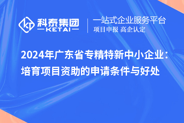 2024年廣東省<a href=http://www.xinshancheng.cn/fuwu/zhuanjingtexin.html target=_blank class=infotextkey>專(zhuān)精特新中小企業(yè)</a>：培育項(xiàng)目資助的申請(qǐng)條件與好處