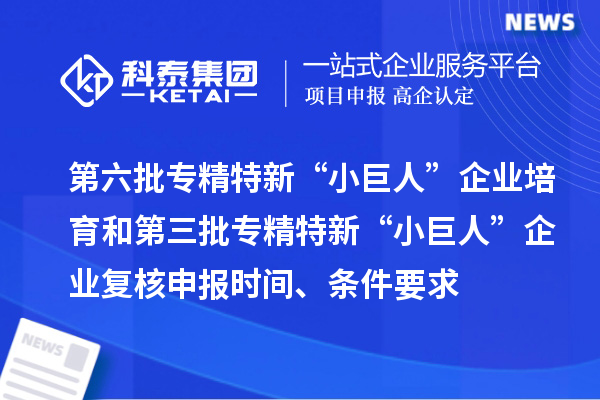 第六批專精特新“小巨人”企業(yè)培育和第三批專精特新“小巨人”企業(yè)復(fù)核申報(bào)時(shí)間、條件要求、補(bǔ)助獎(jiǎng)勵(lì)
