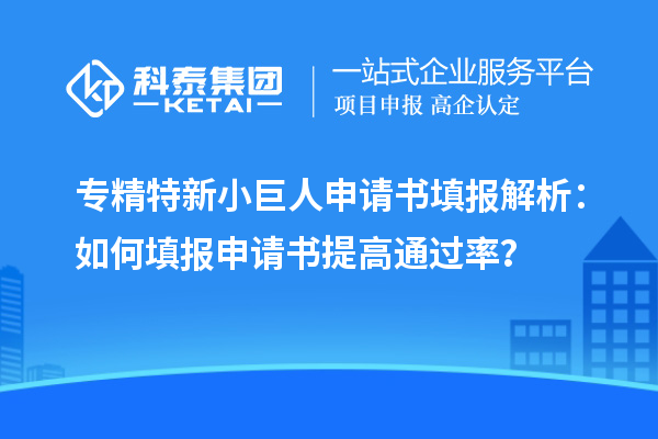 專精特新小巨人申請書填報解析：如何填報申請書提高通過率？