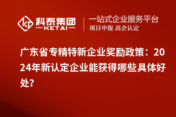 廣東省專精特新企業(yè)獎(jiǎng)勵(lì)政策：2024年新認(rèn)定企業(yè)能獲得哪些具體好處？