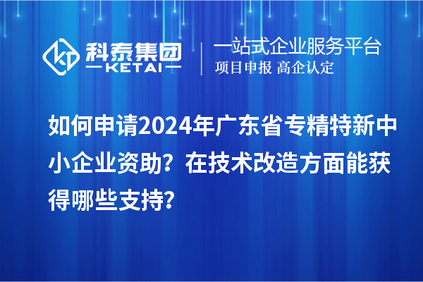 如何申請(qǐng)2024年廣東省專精特新中小企業(yè)資助？在技術(shù)改造方面能獲得哪些支持？
