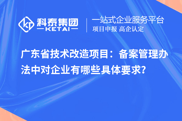 廣東省技術(shù)改造項目：備案管理辦法中對企業(yè)有哪些具體要求？
