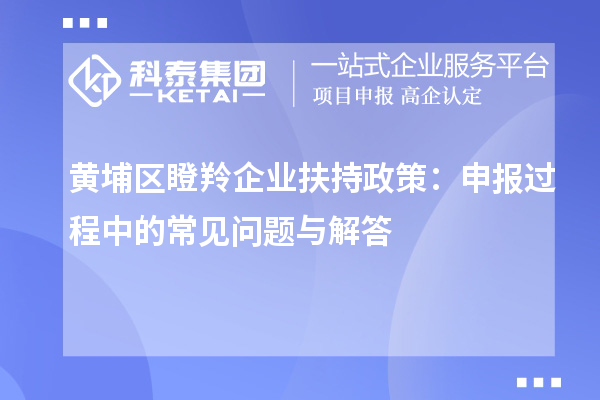 黃埔區(qū)瞪羚企業(yè)扶持政策：申報(bào)過程中的常見問題與解答