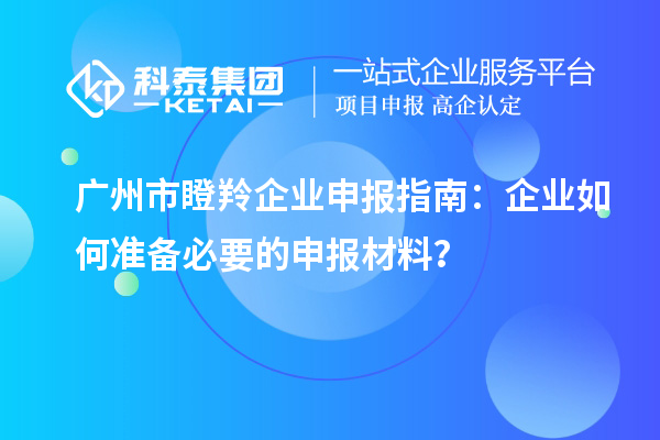 廣州市瞪羚企業(yè)申報(bào)指南：企業(yè)如何準(zhǔn)備必要的申報(bào)材料？