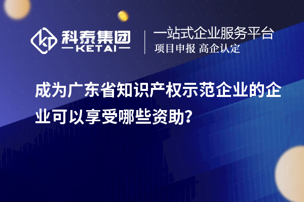 成為廣東省知識(shí)產(chǎn)權(quán)示范企業(yè)的企業(yè)可以享受哪些資助？