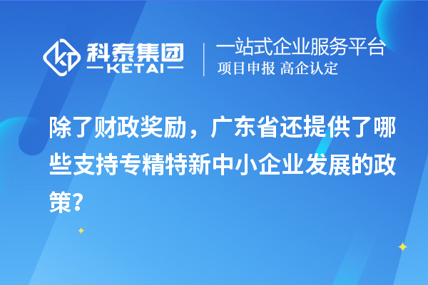 除了財政獎勵，廣東省還提供了哪些支持專精特新中小企業(yè)發(fā)展的政策？