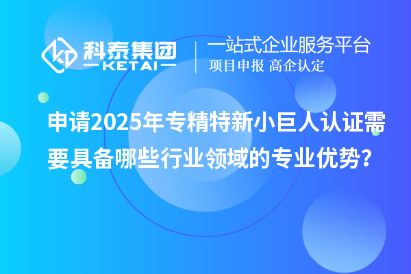 申請2025年專精特新小巨人認證需要具備哪些行業(yè)領(lǐng)域的專業(yè)優(yōu)勢？