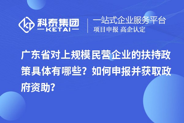 廣東省對(duì)上規(guī)模民營企業(yè)的扶持政策具體有哪些？如何申報(bào)并獲取政府資助？