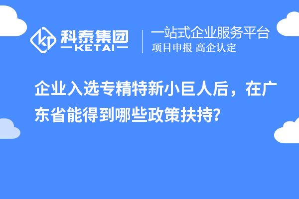 企業(yè)入選專(zhuān)精特新小巨人后，在廣東省能得到哪些政策扶持？