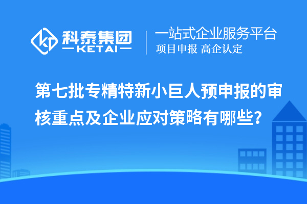 第七批專精特新小巨人預(yù)申報的審核重點(diǎn)及企業(yè)應(yīng)對策略有哪些？