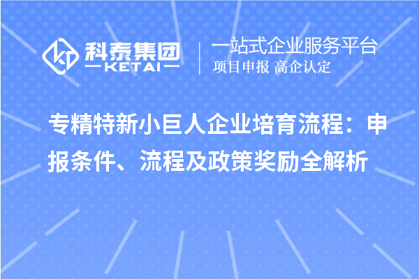專精特新小巨人企業(yè)培育流程：申報(bào)條件、流程及政策獎(jiǎng)勵(lì)全解析