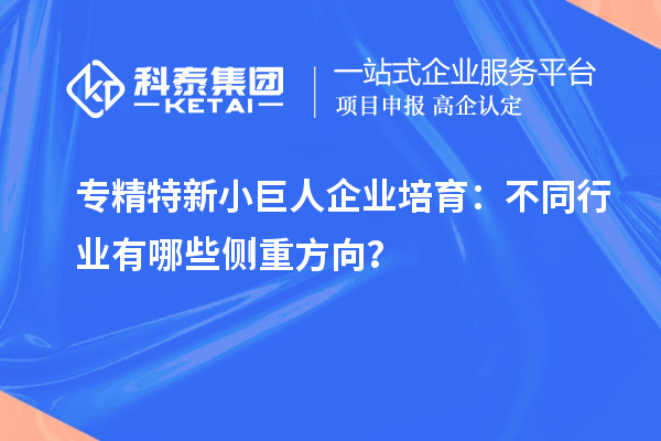 專精特新小巨人企業(yè)培育：不同行業(yè)有哪些側(cè)重方向？