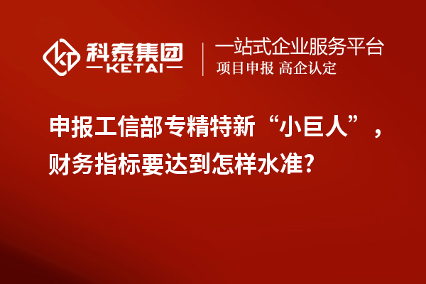 申報工信部專精特新 “小巨人”，財務(wù)指標(biāo)要達(dá)到怎樣水準(zhǔn)?