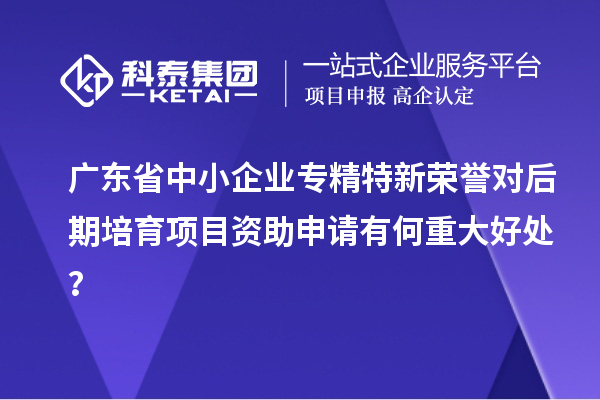 廣東省中小企業(yè)專精特新榮譽對后期培育項目資助申請有何重大好處？