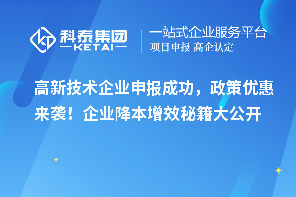 高新技術(shù)企業(yè)申報(bào)成功，政策優(yōu)惠來襲！企業(yè)降本增效秘籍大公開