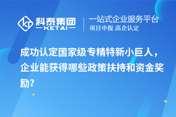 成功認(rèn)定國家級專精特新小巨人，企業(yè)能獲得哪些政策扶持和資金獎勵？