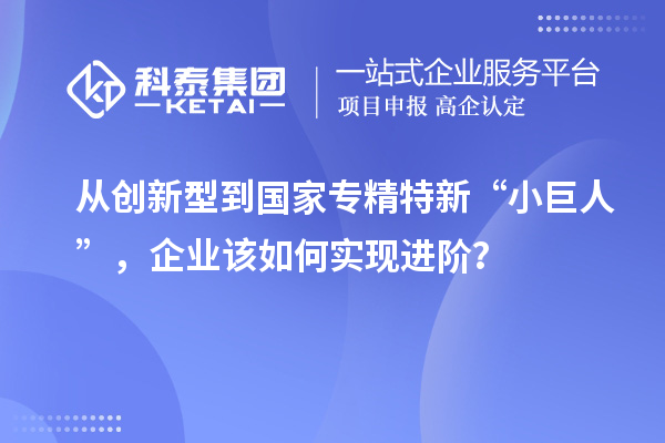 從創(chuàng)新型到國(guó)家專精特新“小巨人”，企業(yè)該如何實(shí)現(xiàn)進(jìn)階？