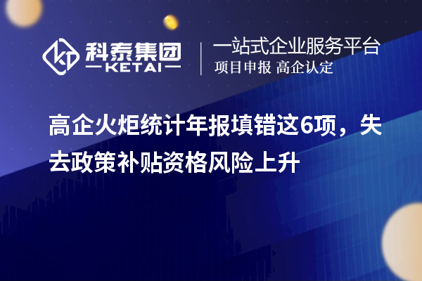 高企火炬統(tǒng)計年報填錯這6項，失去政策補(bǔ)貼資格風(fēng)險上升