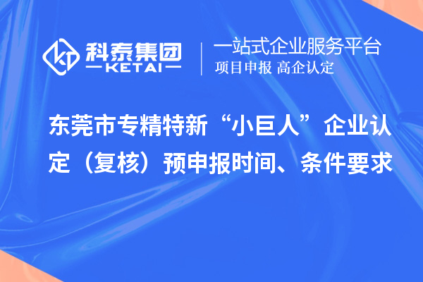 東莞市專精特新“小巨人”企業(yè)認(rèn)定（復(fù)核）預(yù)申報(bào)時(shí)間、條件要求