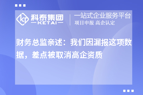 財務(wù)總監(jiān)親述：我們因漏報這項數(shù)據(jù)，差點被取消高企資質(zhì)