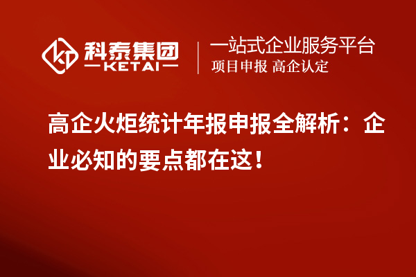 高企火炬統(tǒng)計年報申報全解析：企業(yè)必知的要點都在這！