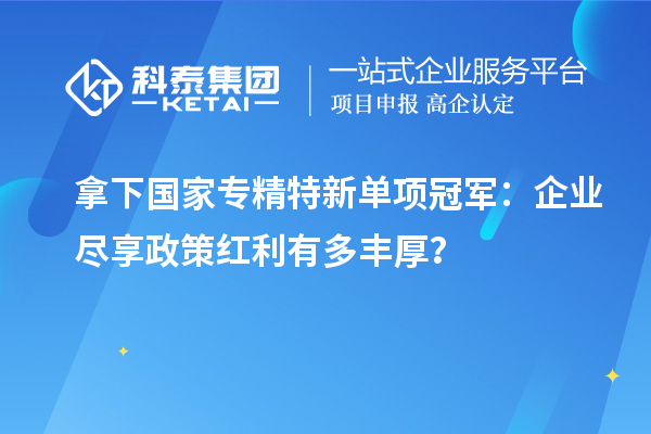 拿下國家專精特新單項(xiàng)冠軍：企業(yè)盡享政策紅利有多豐厚？