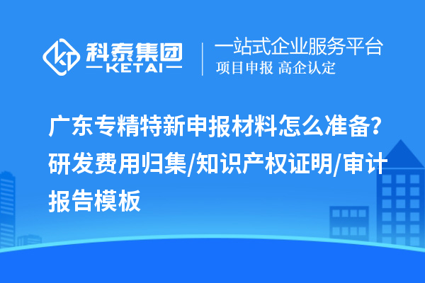 廣東專精特新申報材料怎么準(zhǔn)備？研發(fā)費(fèi)用歸集/知識產(chǎn)權(quán)證明/審計報告模板