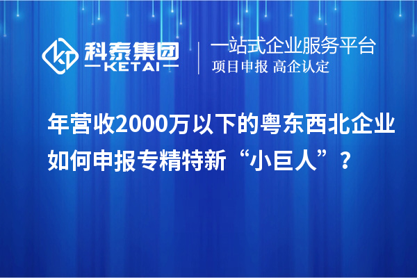 年營收2000萬以下的粵東西北企業(yè)如何申報專精特新“小巨人”？