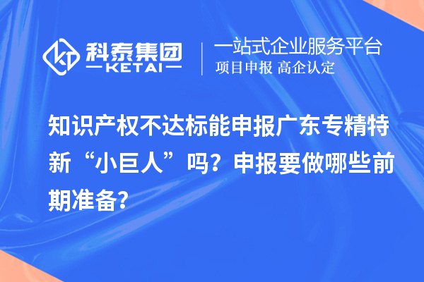 知識(shí)產(chǎn)權(quán)不達(dá)標(biāo)能申報(bào)廣東專精特新“小巨人”嗎？申報(bào)要做哪些前期準(zhǔn)備？