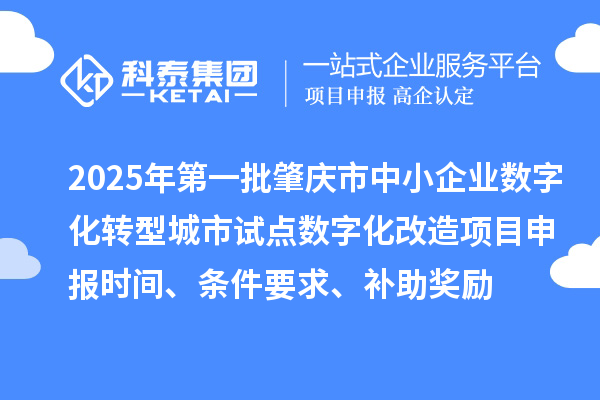 2025年第一批肇慶市中小企業(yè)數(shù)字化轉(zhuǎn)型城市試點數(shù)字化改造項目申報時間、條件要求、補助獎勵