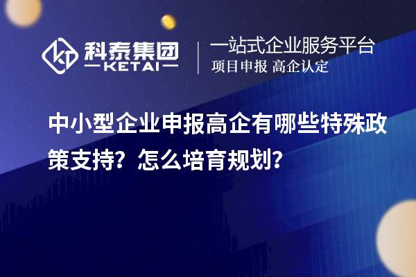 中小型企業(yè)申報高企有哪些特殊政策支持？怎么培育規(guī)劃？