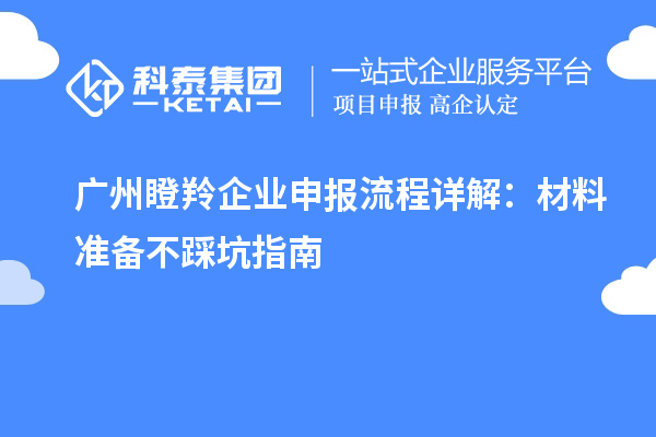 廣州瞪羚企業(yè)申報流程詳解：材料準(zhǔn)備不踩坑指南