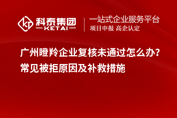 廣州瞪羚企業(yè)復(fù)核未通過怎么辦？常見被拒原因及補(bǔ)救措施