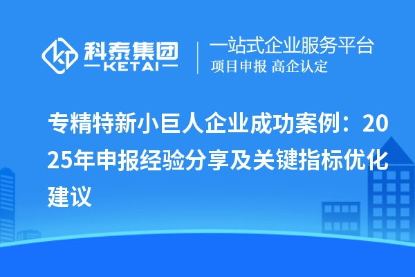 專精特新小巨人企業(yè)成功案例：2025 年申報(bào)經(jīng)驗(yàn)分享及關(guān)鍵指標(biāo)優(yōu)化建議