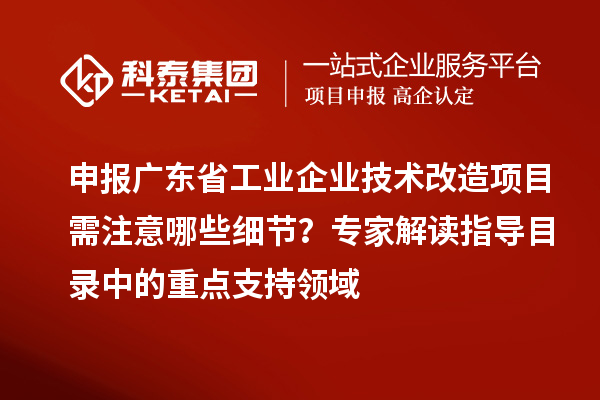 申報(bào)廣東省工業(yè)企業(yè)技術(shù)改造項(xiàng)目需注意哪些細(xì)節(jié)？專家解讀指導(dǎo)目錄中的重點(diǎn)支持領(lǐng)域