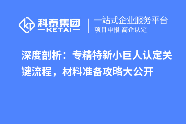 深度剖析：專精特新小巨人認定關鍵流程，材料準備攻略大公開
