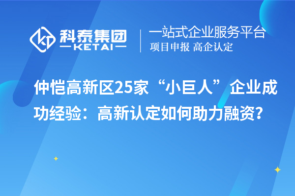 仲愷高新區(qū)25家“小巨人”企業(yè)成功經(jīng)驗(yàn)：高新認(rèn)定如何助力融資？