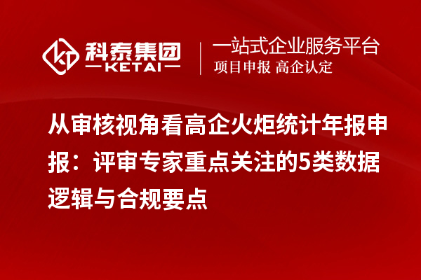 從審核視角看高企火炬統(tǒng)計(jì)年報(bào)申報(bào)：評(píng)審專家重點(diǎn)關(guān)注的5類數(shù)據(jù)邏輯與合規(guī)要點(diǎn)