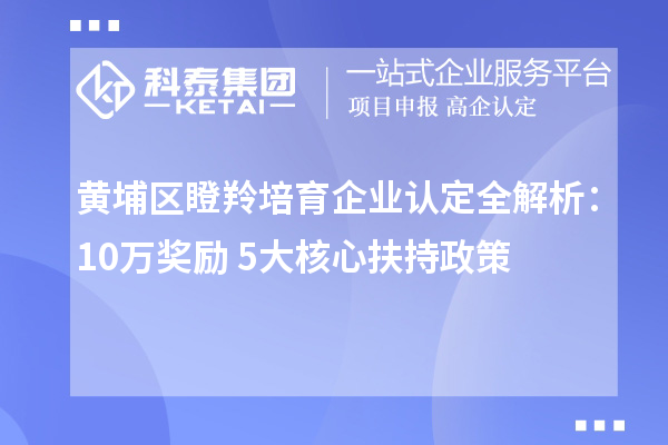 黃埔區(qū)瞪羚培育企業(yè)認(rèn)定全解析：10萬獎(jiǎng)勵(lì)+5大核心扶持政策