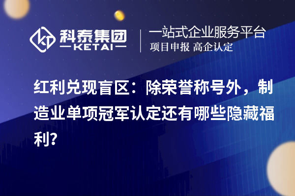 紅利兌現(xiàn)盲區(qū)：除榮譽(yù)稱號(hào)外，制造業(yè)單項(xiàng)冠軍認(rèn)定還有哪些隱藏福利？