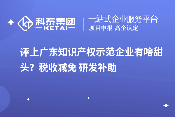 評上廣東知識產(chǎn)權示范企業(yè)有啥甜頭？稅收減免+研發(fā)補助