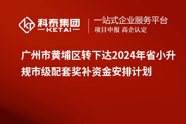 廣州市黃埔區(qū)轉(zhuǎn)下達(dá)2024年省小升規(guī)市級配套獎補資金安排計劃